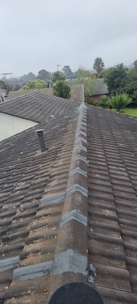 Roof Sealing